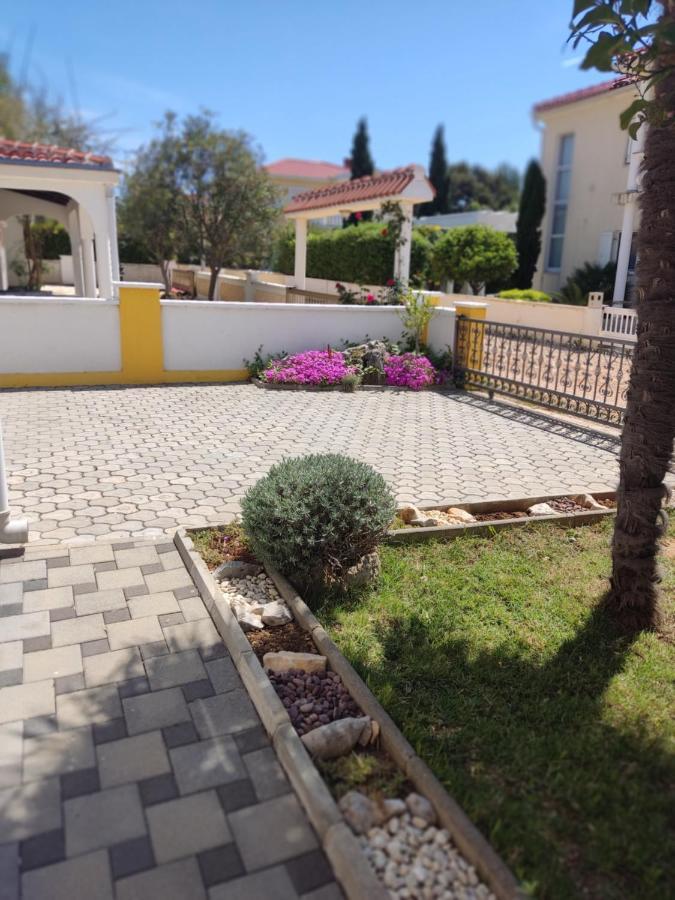 Apartman Car Vir Εξωτερικό φωτογραφία