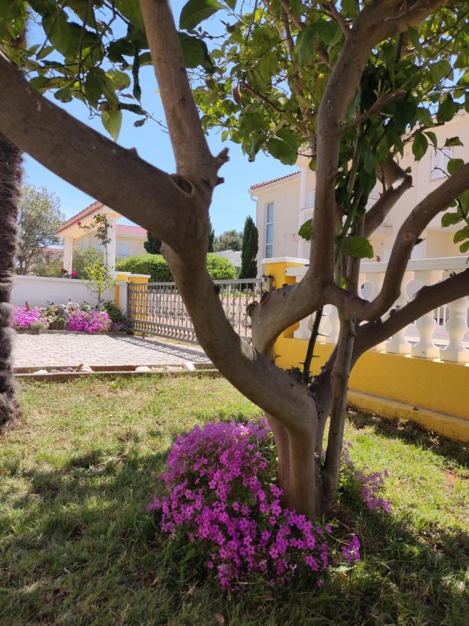 Apartman Car Vir Εξωτερικό φωτογραφία